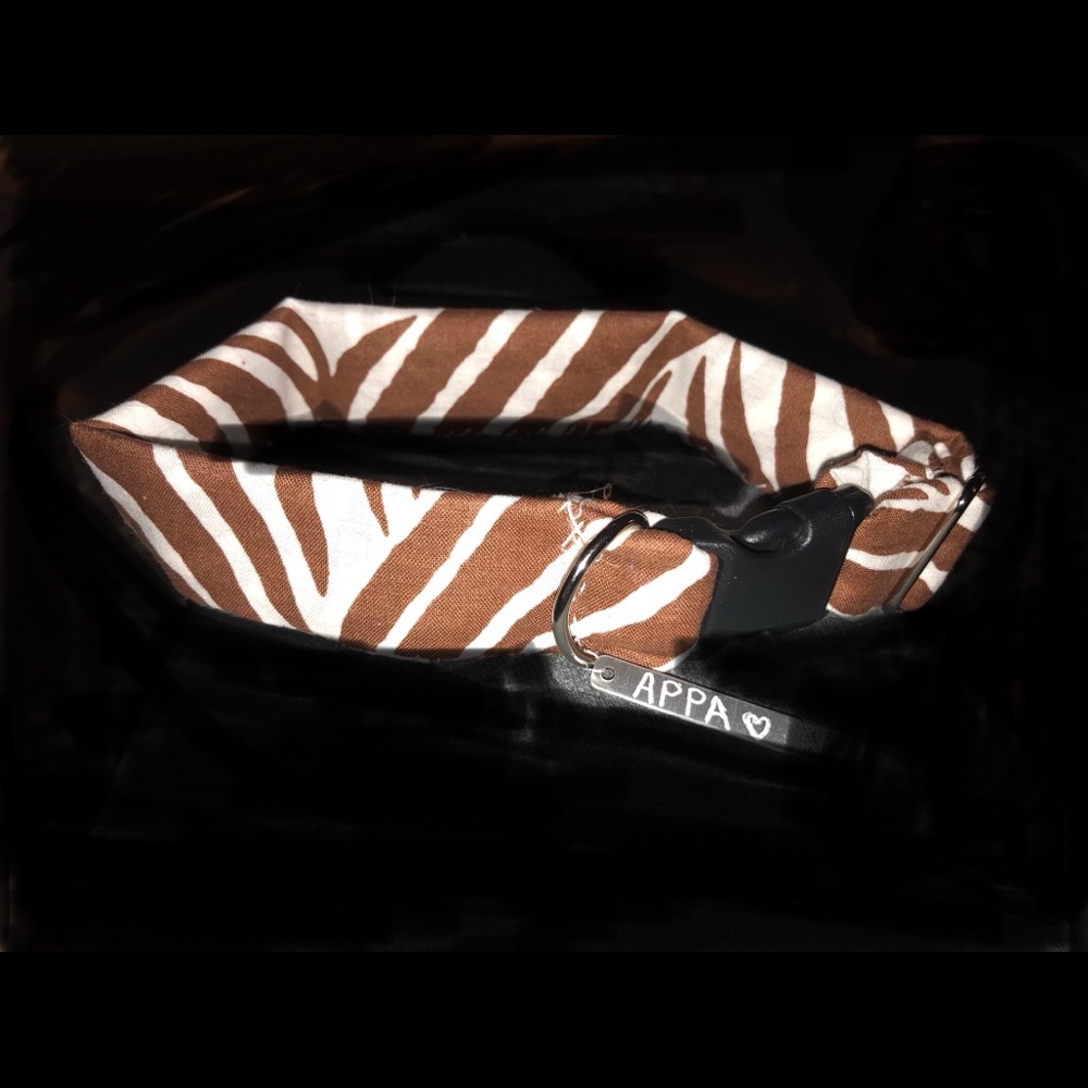 Brown Zebra Dog Collar with custom engraved name